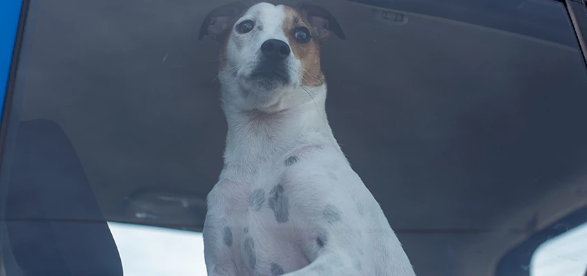 Car Lockout Solutions in San Dimas, California